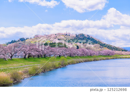 一目千本桜 宮城県 大河原町 一目千本桜 宮城県 大河原町 125212698