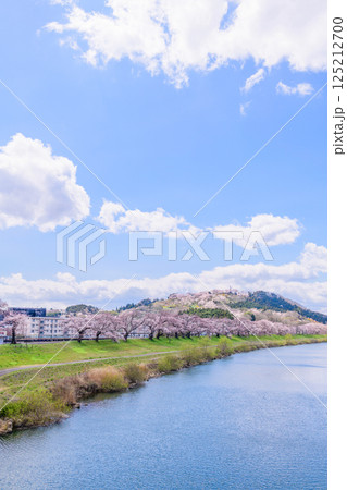 一目千本桜　宮城県　大河原町 125212700