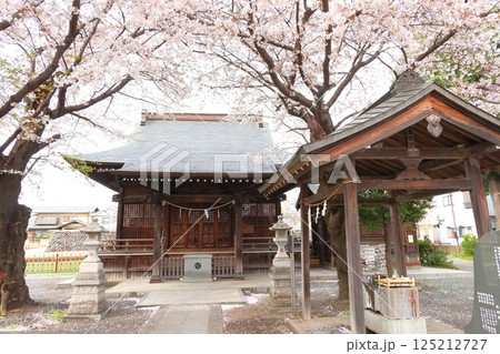 武蔵府中熊野神社の桜 125212727