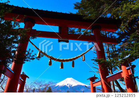 春　新倉富士浅間神社　鳥居 125212855