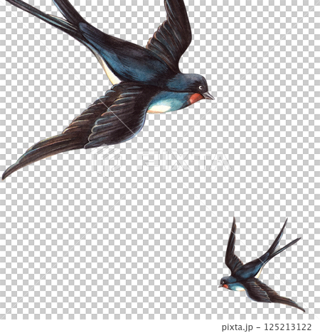 Swallows birds square frame in vintage style. Hand drawn romantic watercolor isolated animal template. Perfect for retro postcard, Valentine's day or wedding decoration, spring arrangement, love cards 125213122