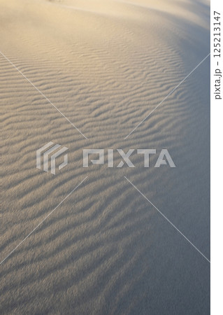 風紋（鳥取砂丘） 125213147