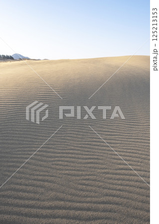 風紋(鳥取砂丘) 風紋(鳥取砂丘) 125213153