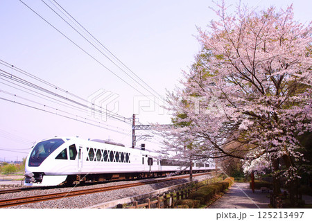 日光市　日光市内を走行するスペーシアXと桜 125213497