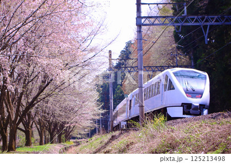 日光市 日光市内を走行するスペーシアXと桜 日光市 日光市内を走行するスペーシアXと桜 125213498
