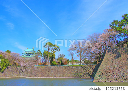 愛知県名古屋市、満開の桜と名古屋城の風景 愛知県名古屋市、満開の桜と名古屋城の風景 125213758