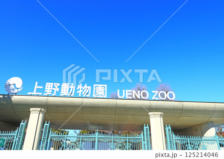 東京都台東区、上野動物園の風景 東京都台東区、上野動物園の風景 125214046