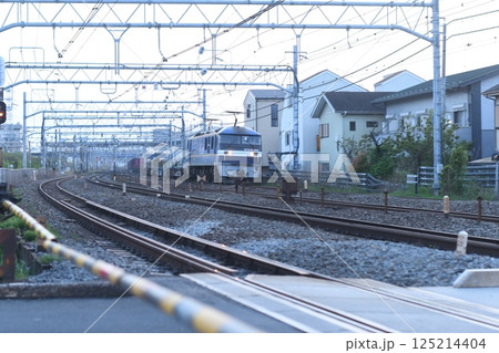 東海道線 鎌倉(客貨)踏切 東海道線 鎌倉(客貨)踏切 125214404