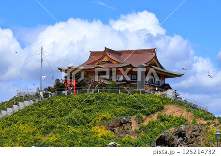 八戸市 蕪島神社 《青森県》 八戸市 蕪島神社 《青森県》 125214732
