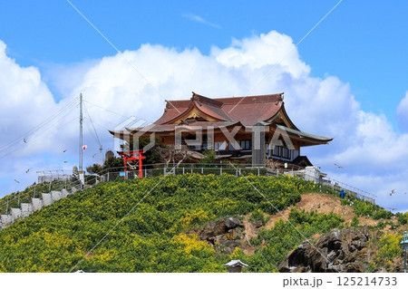 八戸市　蕪島神社　《青森県》 125214733
