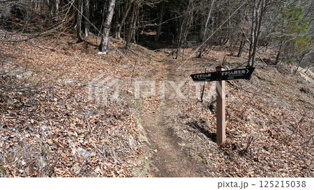 すずらん峠 登山口 すずらん峠 登山口 125215038
