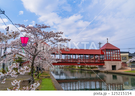 (富山県)射水市・新湊 桜並木の放生津内川に掛かる東橋 (富山県)射水市・新湊 桜並木の放生津内川に掛かる東橋 125215154