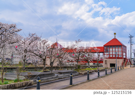 (富山県)射水市・新湊 桜並木の放生津内川に掛かる東橋 (富山県)射水市・新湊 桜並木の放生津内川に掛かる東橋 125215156