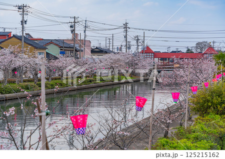 (富山県)射水市・新湊 桜並木の放生津内川に掛かる東橋 (富山県)射水市・新湊 桜並木の放生津内川に掛かる東橋 125215162