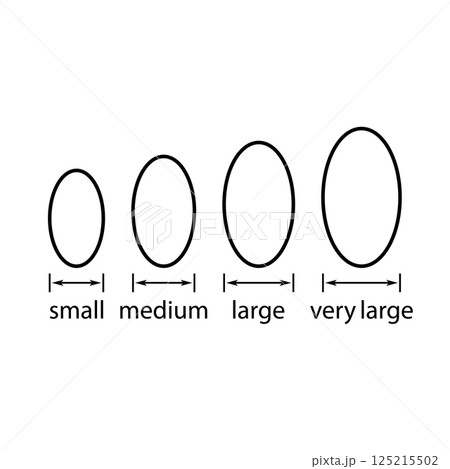Egg sizes. Set of vector illustrations with arrows and eggs. Drawing on a white background. Egg sizes. Set of vector illustrations with arrows and eggs. Drawing on a white background. 125215502