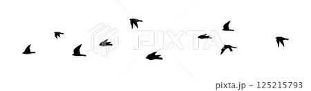 Flying birds vector silhouette, group of birds flying, flying birds flock silhouettes	 125215793