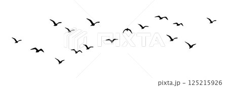 Flock of birds silhouette, group of birds in the sky, silhouettes of wild birds in flight	 125215926