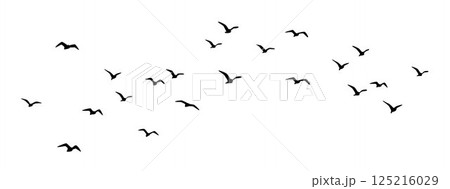 Flight bird silhouettes, Bird flying, birds in flight, flock of birds	 125216029