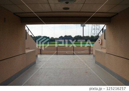 陽射しを浴びる野球少年　青春が始まる場所　《埼玉》 125216257