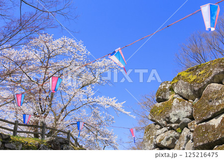 桜満開の小諸城趾 125216475