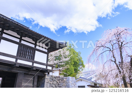 桜満開の小諸城趾 125216516