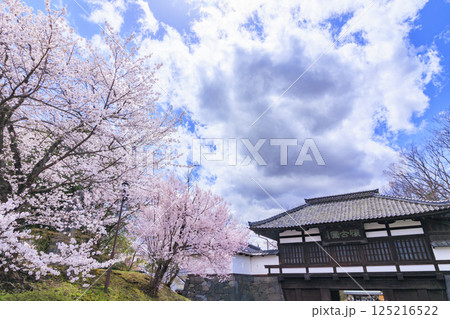 桜満開の小諸城趾 桜満開の小諸城趾 125216522