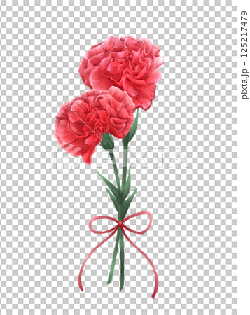 水彩画風赤いカーネーションの二輪イラスト リボンあり 125217479