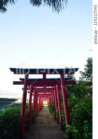 友八幡稲荷大社(滋賀県) 友八幡稲荷大社(滋賀県) 125217543