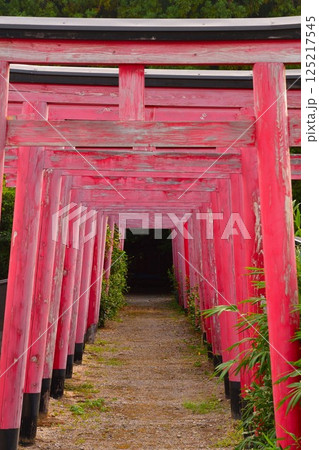 友八幡稲荷大社(滋賀県) 友八幡稲荷大社(滋賀県) 125217545