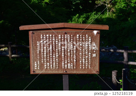 大瀧神社 大蛇ヶ淵(滋賀県) 大瀧神社 大蛇ヶ淵(滋賀県) 125218119