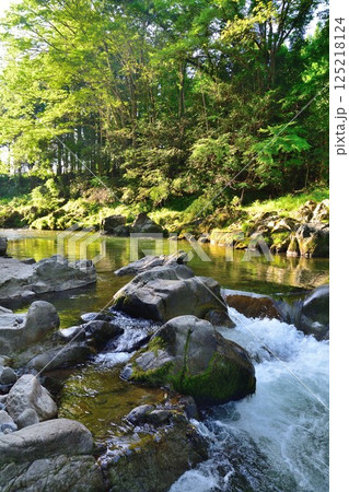 大瀧神社　大蛇ヶ淵（滋賀県） 125218124