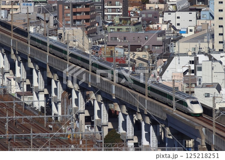 東北新幹線／上越新幹線E2系（200系カラー・緑帯車両） 125218251