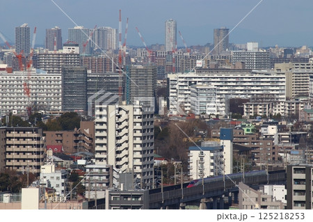 東北新幹線E6系（単独7両編成：こまち号） 125218253