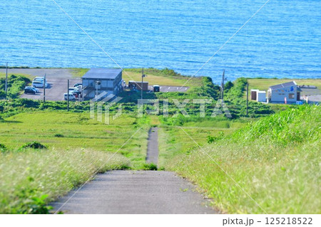 中浜の棚田（新潟県） 125218522