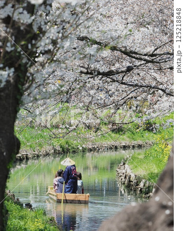 小江戸 川越 花筏 125218848