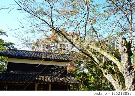 越路もみじ園（新潟県） 125218853
