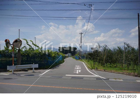 真夏の田舎の交差点 125219010