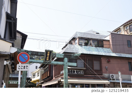 青銅の鳥居 青銅の鳥居 125219435