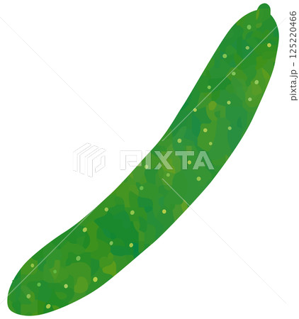 きゅうりのイラスト テクスチャ ベクター素材 125220466