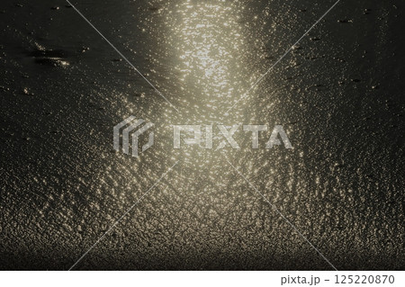 光る海 125220870