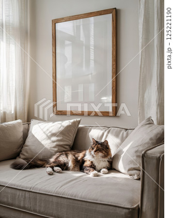 Cat lounging on a cozy sofa in a well-lit room with a blank white frame on the wall, perfect for a poster or artwork mockup. The serene atmosphere highlights comfort and relaxation. Concept of home de 125221190