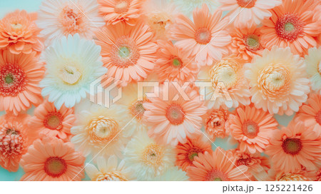 デイジー 花壁紙オレンジ ホワイト 結婚式お祝い素材 125221426