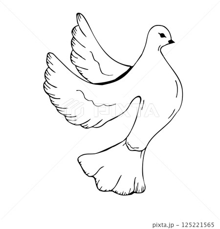 Peaceful dove design for first communion celebration announcement. Black outlines, white background. Dove of peace. Graphic art. For baptism, wedding invitation Peaceful dove design for first communion celebration announcement. Black outlines, white background. Dove of peace. Graphic art. For baptism, wedding invitation 125221565