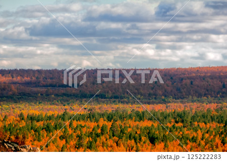 autumn forest 125222283
