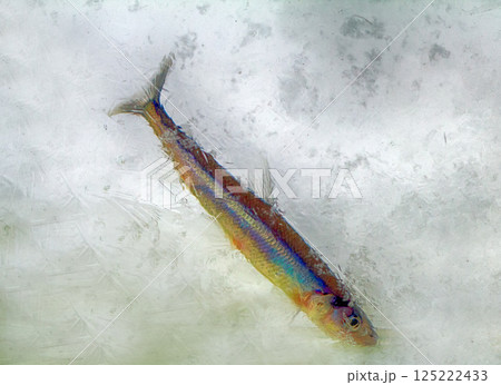 winter background with frozen fish. winter background with frozen fish. 125222433