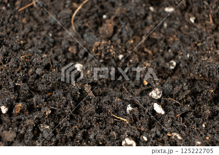 Texture of moist fertile soil universal for growing plants close-up. Texture of moist fertile soil universal for growing plants close-up. 125222705