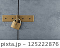 Padlock locked on iron metal gate.3d illustration. 125222876