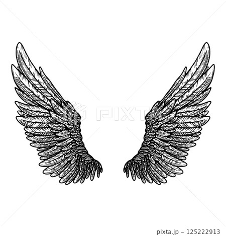Vector tattoo style eagle wing illustration 125222913