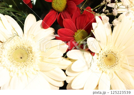 A Beautiful and Stunning Arrangement of Elegant White and Red Flowers in Full Bloom A Beautiful and Stunning Arrangement of Elegant White and Red Flowers in Full Bloom 125223539