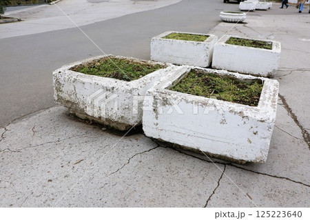 An Urban Landscape Featuring Concrete Planters Surrounded by Lush Greenery and Plants An Urban Landscape Featuring Concrete Planters Surrounded by Lush Greenery and Plants 125223640